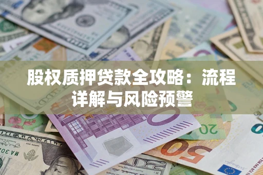北京股权质押贷款全攻略：流程详解与风险预警