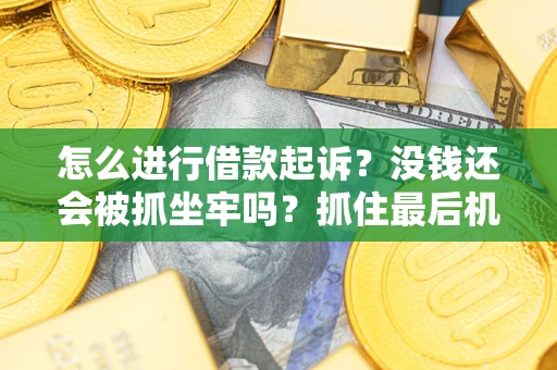北京怎么进行借款起诉？没钱还会被抓坐牢吗？抓住最后机会！