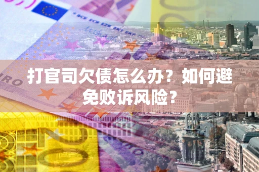 北京打官司欠债怎么办？如何避免败诉风险？